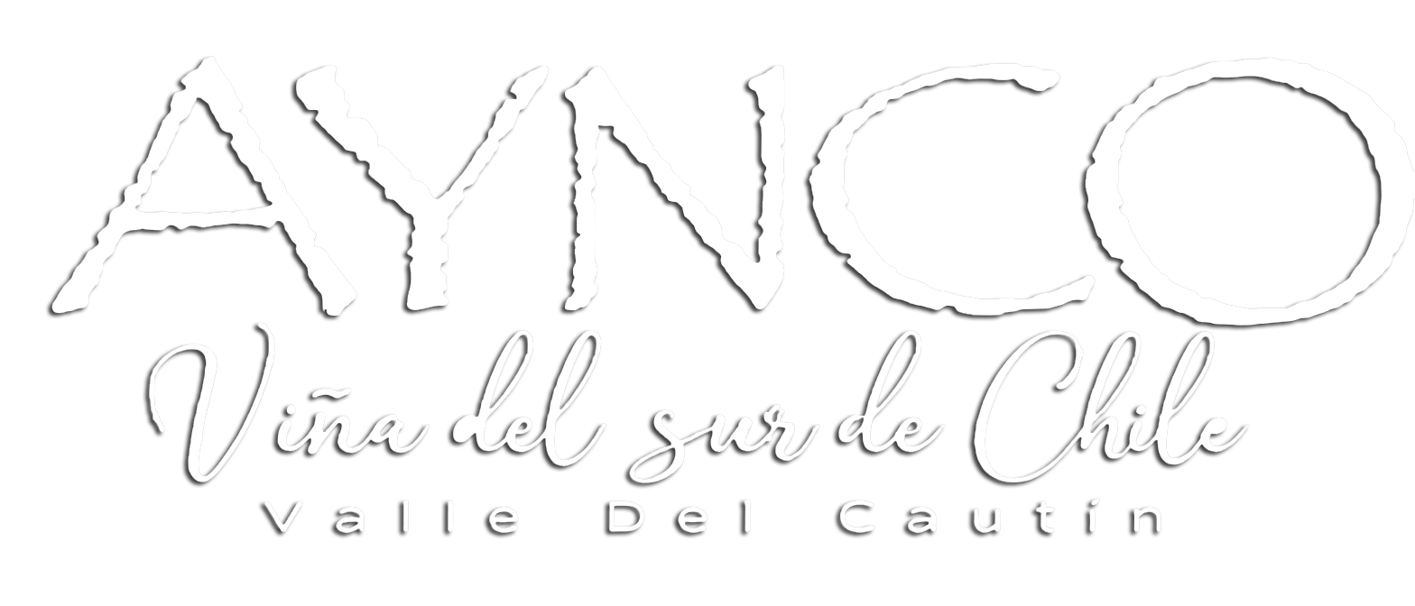 Viña Aynco