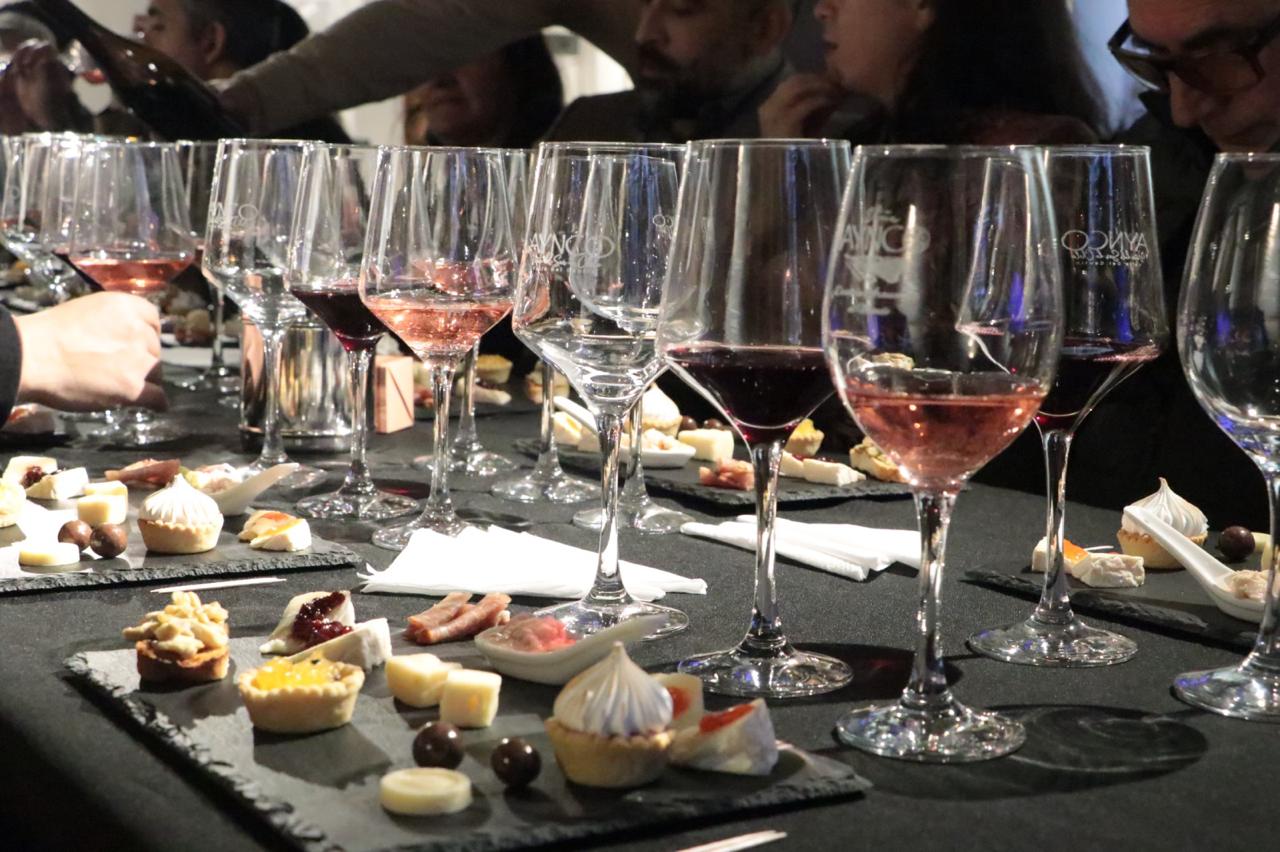 Cata y degustación de vinos