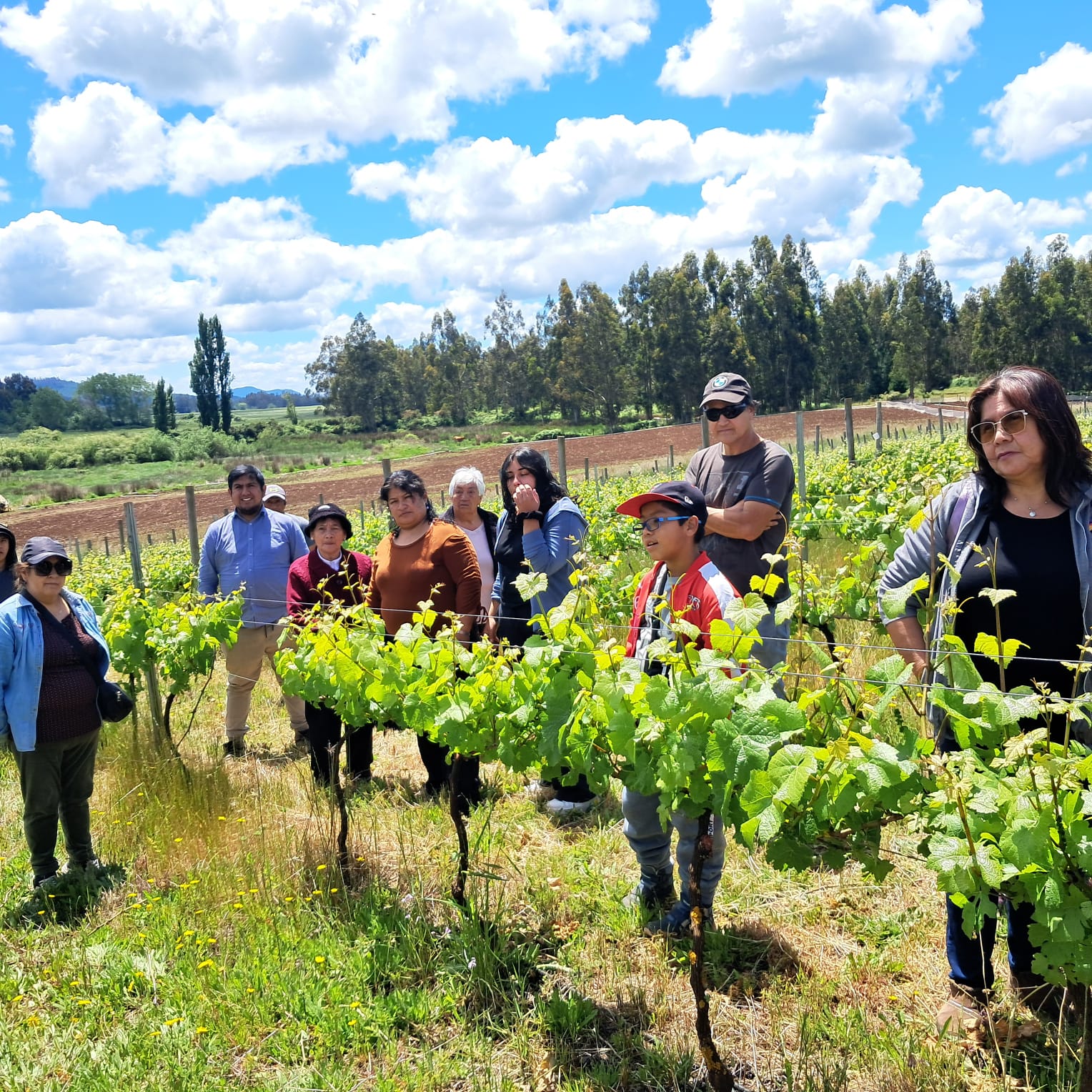 Bodega y crianza