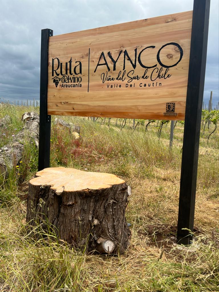 Etiquetado de vinos