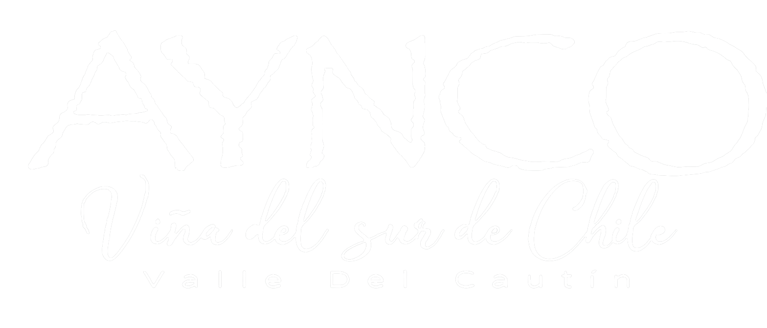 Aynco Logo