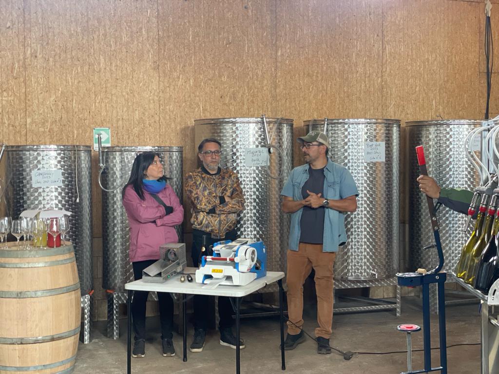 Visita a la Bodega Aynco