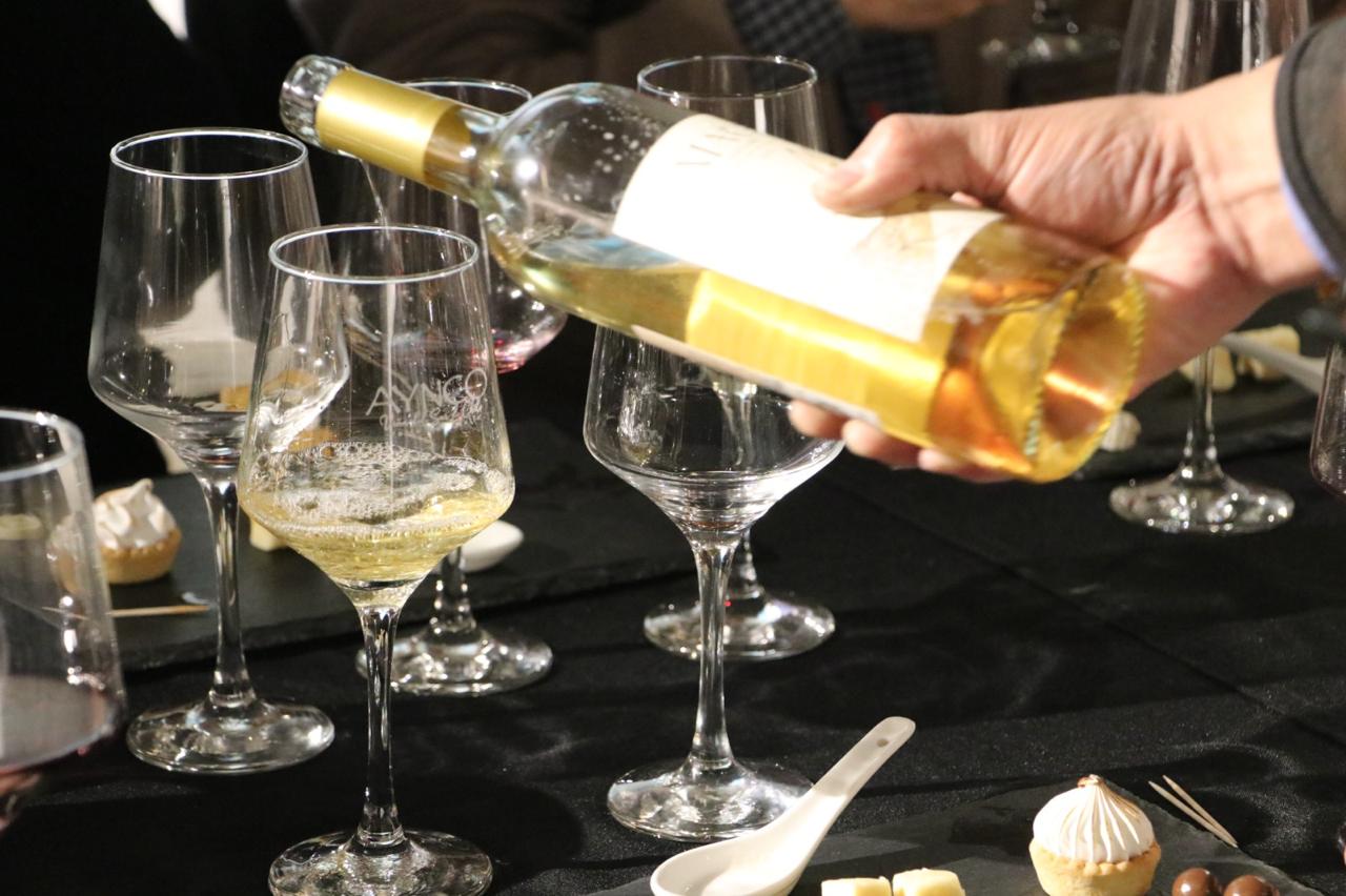 Degustación de Vinos Aynco